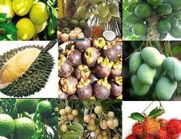 การอนุรักษ์สิ่งแวดล้อมเพื่อสร้างสรรค์ชนบทใหม่